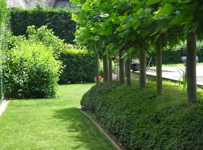 Bed & Breakfast Maaltebrug 4*